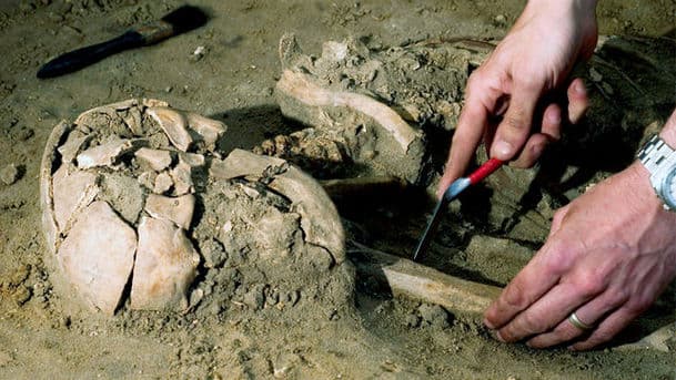 The Voices Who Dug Up The Past